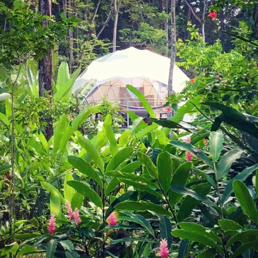 Готель Faith Glamping Dome Costa Rica Мансанільйо Екстер'єр фото